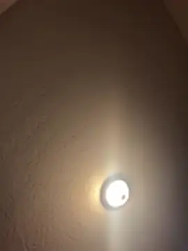 1n0nlythroat online show from 01/09/26, 06:15