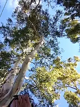 M4tute online show from 04/17/26, 07:49