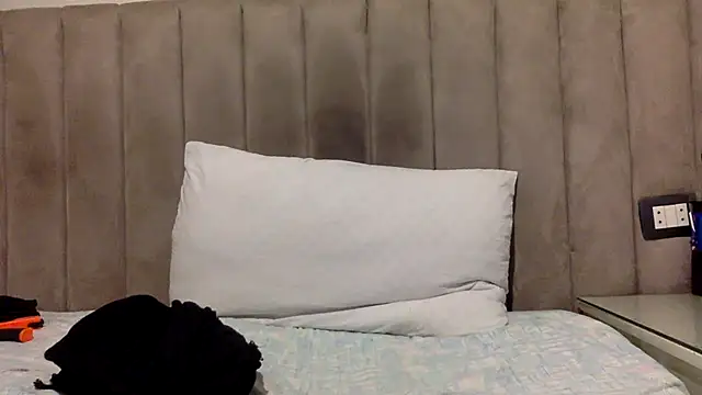 Snapshot of CaiBull chatting on 06/15/26, 09:14 CaiBull online show from 06/15/26, 09:14