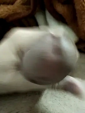 Zepe 12 online show from 03/23/26, 10:20