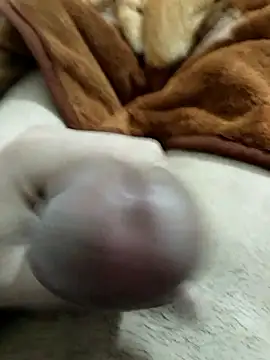 Zepe 12 online show from 01/08/26, 05:19