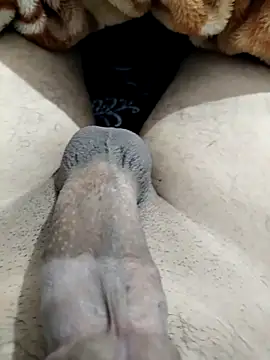 Zepe 12 online show from 03/10/26, 09:19