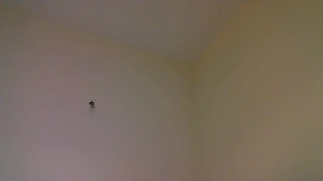 Snapshot of str8matesirishoz chatting on 10/15/25, 04:00 str8matesirishoz online show from 10/15/25, 04:00