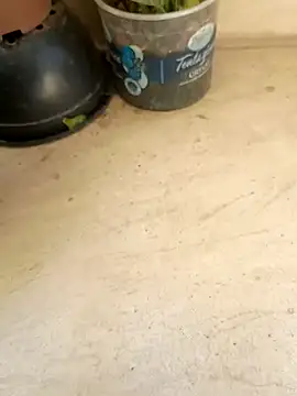 Jogandor777 online show from 09/11/25, 01:33