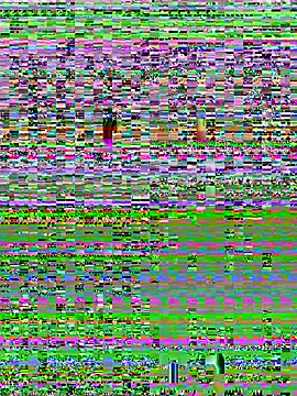 YOOUR EVAA online show from 07/08/26, 09:10