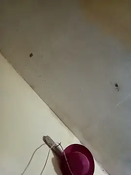 Snapshot of RandalHot chatting on 11/27/25, 09:37 RandalHot online show from 11/27/25, 09:37