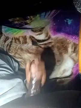 Snapshot of ANDACONDA-PYTHON chatting on 11/02/25, 11:59 ANDACONDA-PYTHON online show from 11/02/25, 11:59