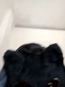 Slllll Couple00 online show from 12/19/25, 08:06