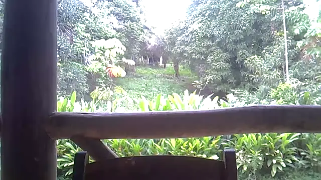 Blue Liz online show from 11/10/25, 02:44