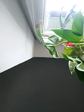 Czarnoksieznik online show from 11/02/25, 12:10