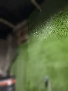 Czarnoksieznik online show from 04/14/26, 07:52