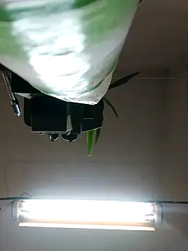 Czarnoksieznik online show from 10/27/25, 04:52