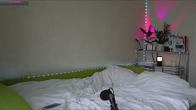 BoyTurtle online show from 11/09/25, 11:14