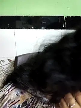 Zoya G online show from 03/01/26, 10:26