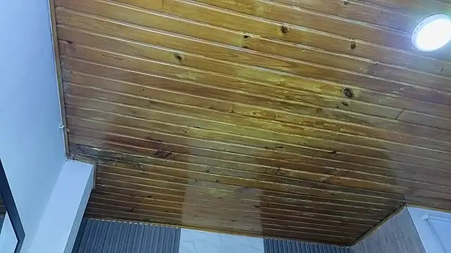 Bonnali lune online show from 04/19/26, 04:46