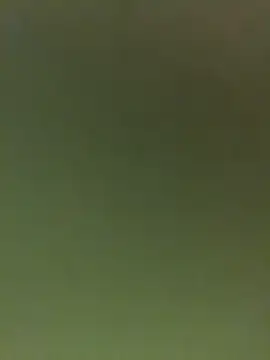 JuanitaMore01 online show from 02/16/26, 09:56