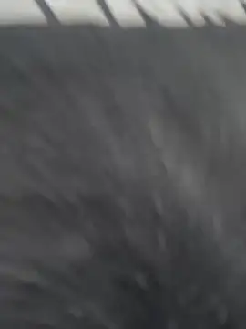 JuanitaMore01 online show from 02/21/26, 10:23