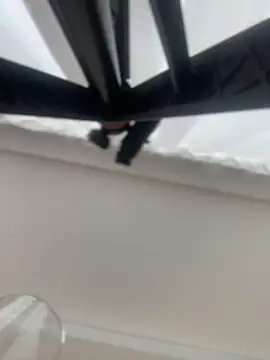 JuanitaMore01 online show from 04/05/26, 08:26