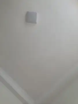 JuanitaMore01 online show from 10/23/25, 08:51