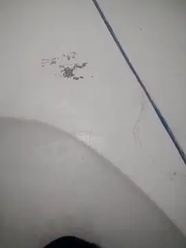 Celestial Field online show from 04/09/26, 04:46