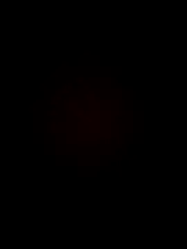 armandoluisorrrkw3323 online show from 04/11/26, 12:40