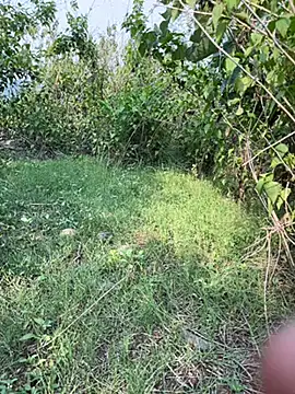 meralund9inch online show from 06/14/26, 10:38