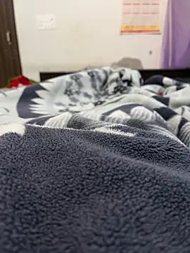 jackyw online show from 11/04/25, 11:58