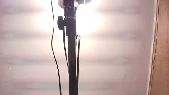 Snapshot of Terraelowen chatting on 02/25/26, 11:32 Terraelowen online show from 02/25/26, 11:32