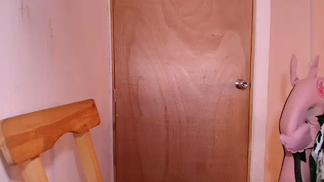 Snapshot of Terraelowen chatting on 01/18/26, 11:24 Terraelowen online show from 01/18/26, 11:24