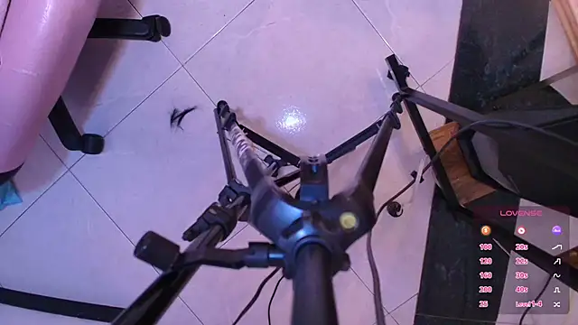 Terraelowen online show from 11/01/25, 11:48