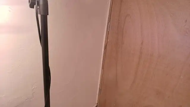 Terraelowen online show from 03/15/26, 11:17