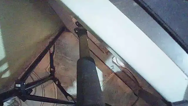 Terraelowen online show from 03/24/26, 01:11