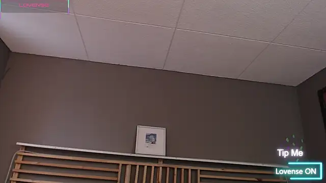 Snapshot of PaulEvens chatting on 02/13/26, 01:11 PaulEvens online show from 02/13/26, 01:11