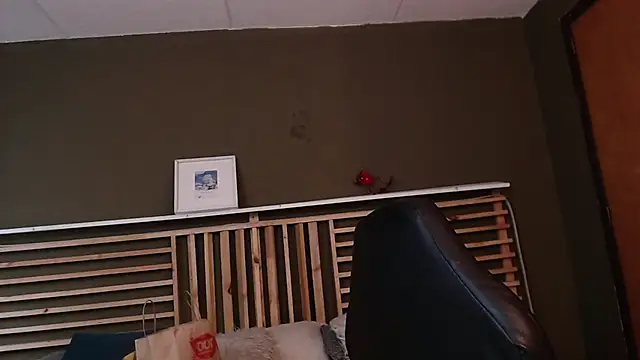 PaulEvens online show from 11/15/25, 01:15