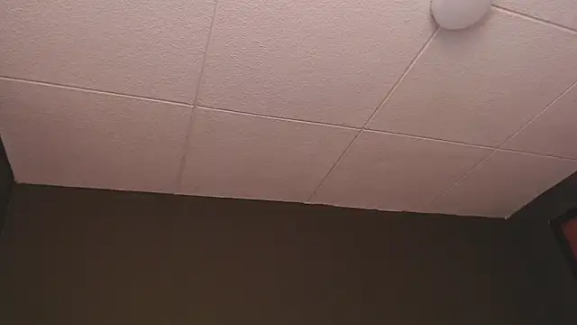 PaulEvens online show from 12/16/25, 01:26