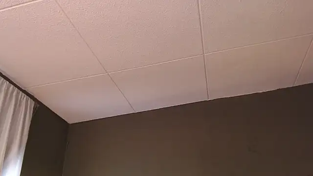 PaulEvens online show from 12/05/25, 01:32