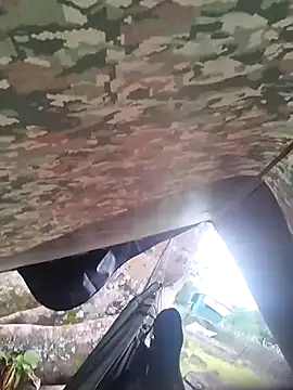 Alabestia12 online show from 11/05/25, 09:18