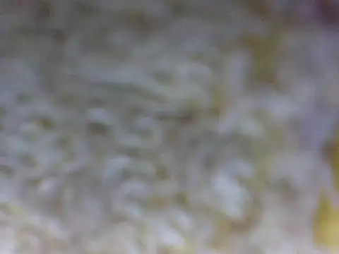 hell1212 25 online show from 03/21/26, 05:39