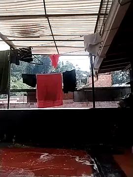 solpeich online show from 10/31/25, 03:08