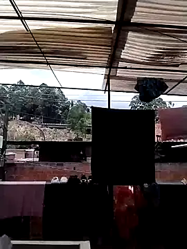 solpeich online show from 04/04/26, 05:30