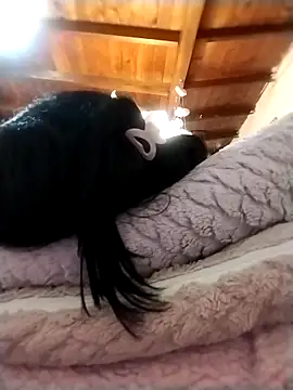 solpeich online show from 10/15/25, 03:05