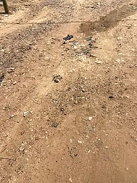 Jaydemasked online show from 11/26/25, 11:10