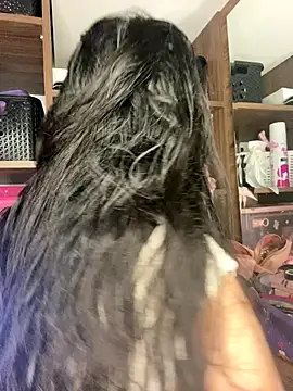 Snapshot of Sophi_dee1 chatting on 11/03/25, 10:13 Sophi dee1 online show from 11/03/25, 10:13