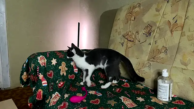 Marinpeach online show from 02/23/26, 03:12