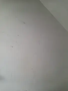 iamlalamilano online show from 03/29/26, 03:02