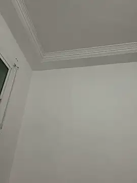 HitShelf online show from 03/15/26, 09:33