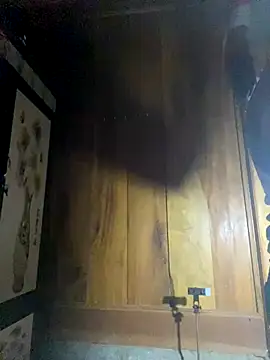 Snapshot of Lai005 chatting on 10/14/25, 11:11 Lai005 online show from 10/14/25, 11:11