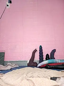 Rose 194 online show from 11/18/25, 02:05