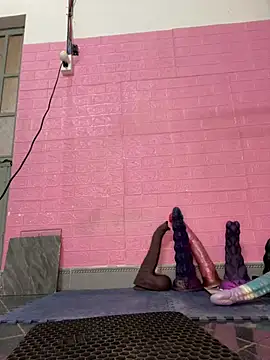 Rose 194 online show from 01/18/26, 08:51