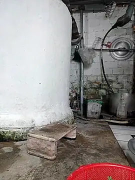 Rosalind xxx online show from 03/09/26, 10:30